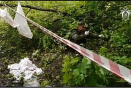 Опубликовано фото и видео с места убийства девочки в Пензе