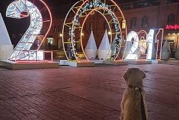 ВОЗ рекомендует: Новый год на улице или дома, но в маске ВОЗ рекомендует: Новый год на улице или дома, но в маске