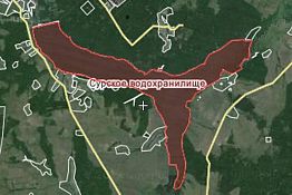 В Пензенском районе берег Сурского водохранилища незаконно застроили коттеджами