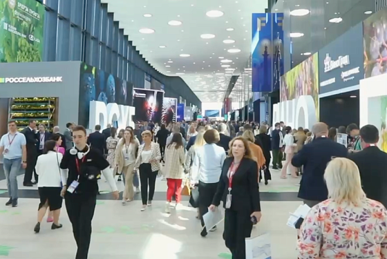 Пензенская делегация отправилась на Петербургский международный экономический форум 