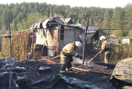 В Никольске дотла сгорели два нежилых дома