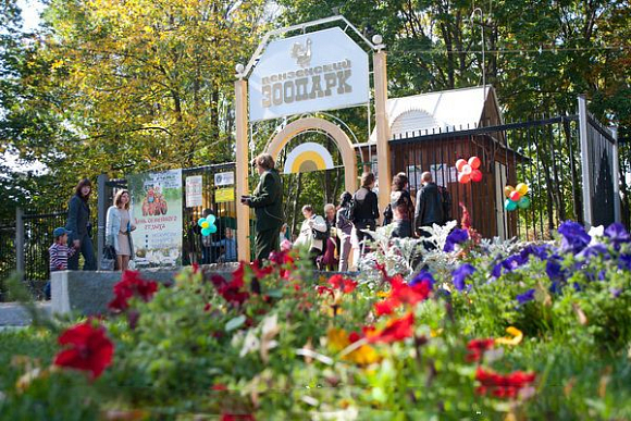 Покусавшая подростка львица доставлена в Пензенский зоопарк