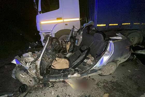 Появились фото с места гибели женщины с тремя детьми под Кузнецком