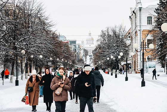 Стали известны результаты опроса пензенцев о работе по уборке снега