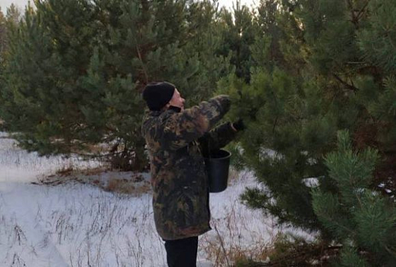 В Пензенской области лесоводы готовятся к весне