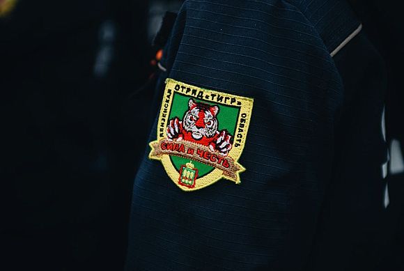  В Пензенской области снизилась уличная преступность