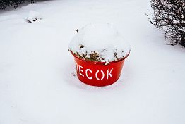 Сельчанка из Бессоновки требовала миллион за падение на льду Сельчанка из Бессоновки требовала миллион за падение на льду