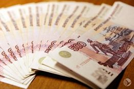 В Пензе директор фирмы скрыла налогов на 16 млн. руб.