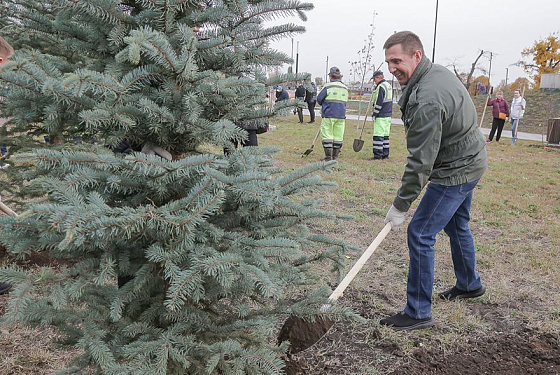 Пенза возвращает себе звание одного из самых зеленых городов России