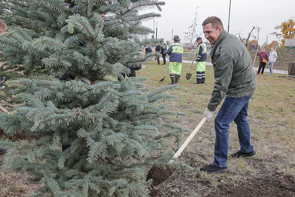 Пенза возвращает себе звание одного из самых зеленых городов России