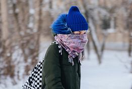Предприимчивые пензенцы нашли способ заработать на аномальном морозе Предприимчивые пензенцы нашли способ заработать на аномальном морозе