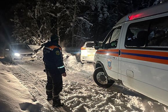 В лесу под Пензой заблудились три человека
