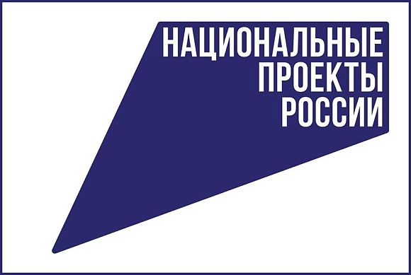 Пензенцы подали более 133 тысяч электронных заявлений на получение услуг