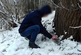 Наркозакладчику из Пензы грозит до 20 лет за решеткой Наркозакладчику из Пензы грозит до 20 лет за решеткой