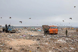 В Пензе водитель ЗИЛа насмерть сбил парня на свалке