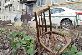 В ожидании новой метлы В ожидании новой метлы