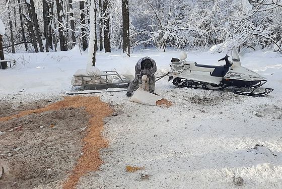 Пензенские охотоведы помогают диким животным