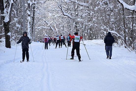 В выходные на Олимпийской аллее сдают в аренду более 150 пар лыж