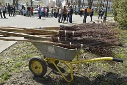 Пензенцы выберут лучшего дворника