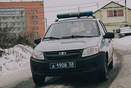 Бдительный пензенец помог задержать запасливых воришек Бдительный пензенец помог задержать запасливых воришек