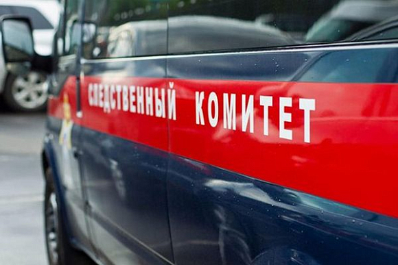 Следователи выясняют обстоятельства гибели 6-летней девочки и ее дяди в с. Березовка