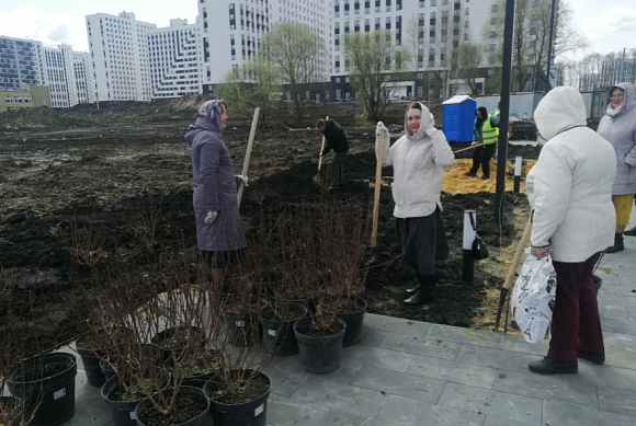 В Пензе высадили 127 деревьев в рамках субботника