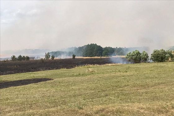 В Пензенской области загорелась сухая трава на площади 30 га