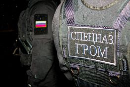 Пензенец выращивал в квартире кусты конопли