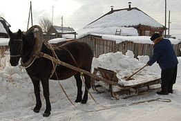 Под Пензой экс-жители несуществующего ныне населенного пункта возвращаются на малую родину Под Пензой экс-жители несуществующего ныне населенного пункта возвращаются на малую родину