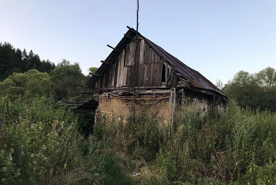 В Нижнеломовском районе сельчанин до смерти забил знакомого