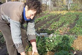 Как я приняла органическое земледелие Как я приняла органическое земледелие