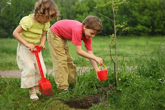 Пензенцам предложили сажать именные деревья при рождении детей