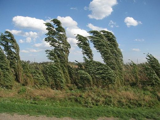 В Пензенской области ожидается шквалистый ветер