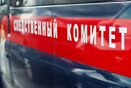 СК начал проверку по факту гибели студента пензенского колледжа СК начал проверку по факту гибели студента пензенского колледжа