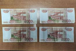 Житель Неверкино пытался подкупить судебного пристава Житель Неверкино пытался подкупить судебного пристава