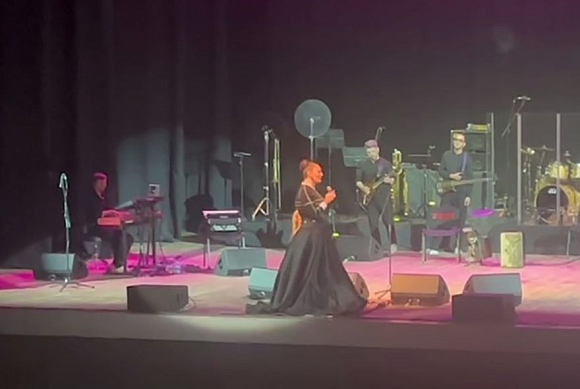 Елена Ваенга собрала аншлаг на концерте в Пензе