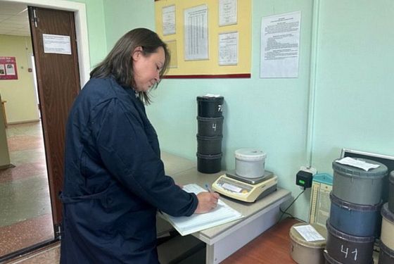 Лес в Лунинском лесничестве проверили на радиацию после Чернобыля