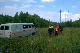 В Пензенской области 76-летняя грибница найдена погибшей