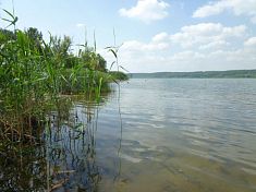 Следствие проводит проверку по факту гибели ребенка в водоеме в Пензенской области