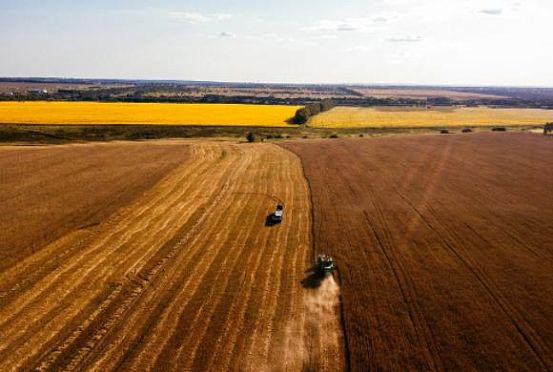 В Пензенской области урожай зерновых превысил 2 млн тонн