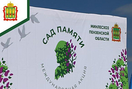 В Пензенской области высадят 37 тысяч сосен и дубов
