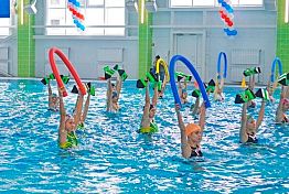 Стали известны доходы спортобъектов Пензенской области