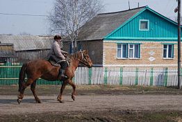 В Пензенской области на развитие сельских территорий направят 608,6 млн 