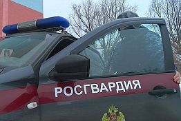 Таксист — веселый паренек: В Пензе росгвардейцы задержали похитителя телефона Таксист — веселый паренек: В Пензе росгвардейцы задержали похитителя телефона