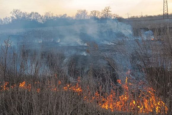 В Пензенской области с 8 апреля леса закрыли для посещения людей