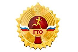 Пять пензенцев не получат значки ГТО из-за неправильного оформления документов Пять пензенцев не получат значки ГТО из-за неправильного оформления документов