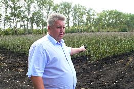 Спасский район — яблочная столица Пензенской области Спасский район — яблочная столица Пензенской области
