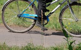 Под Пензой Niva насмерть задавила 32-летнего велосипедиста Под Пензой Niva насмерть задавила 32-летнего велосипедиста