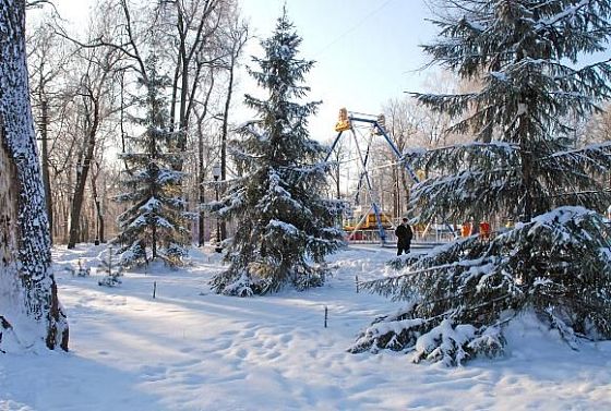 Синоптики рассказали об аномальных морозах в Пензенской области