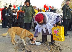 День народного единства-2014 в Пензе — фотоотчет